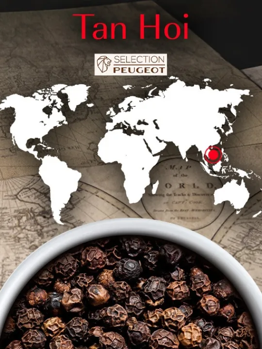 Peugeot Saveurs Multipack poivres standard Multipack poivres standard -> Epices Du Monde