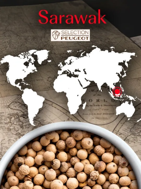 Peugeot Saveurs Sarawak Poivre blanc de malaisie, 80g - 4 sachets fraicheur de 20g -> Epices Du Monde