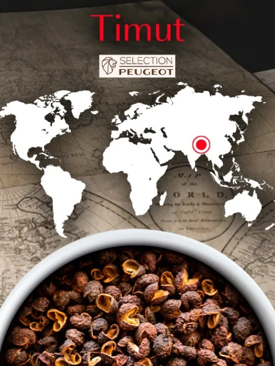 Peugeot Saveurs Timut Poivre sauvage du népal, 40g - 4 sachets fraicheur de 10g -> Epices Du Monde